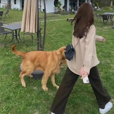 嫁得金龟婿